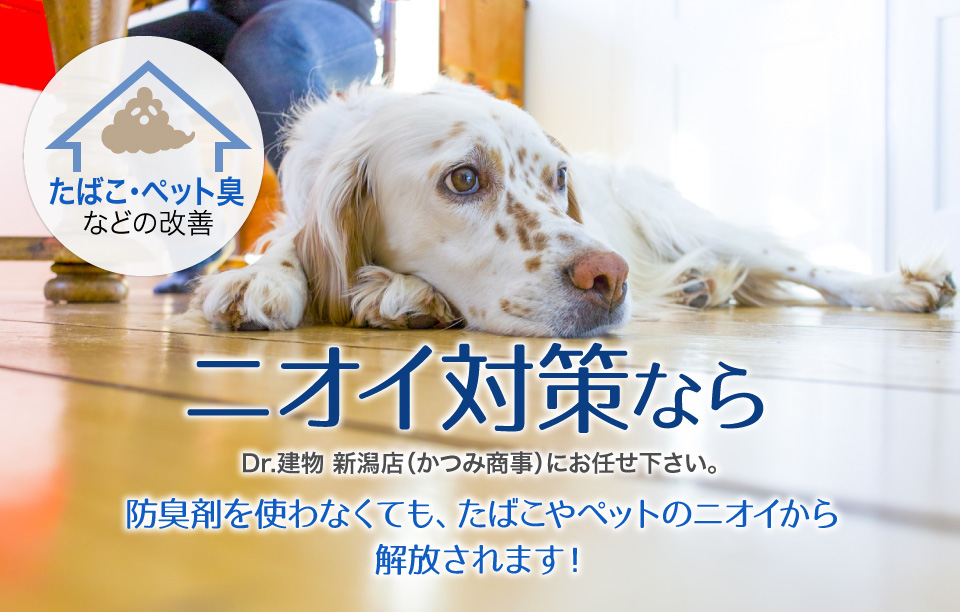 ニオイ対策なら-Dr.建物 新潟店（かつみ商事）にお任せ下さい。防臭剤を使わなくても、たばこやペットのニオイから 解放されます！